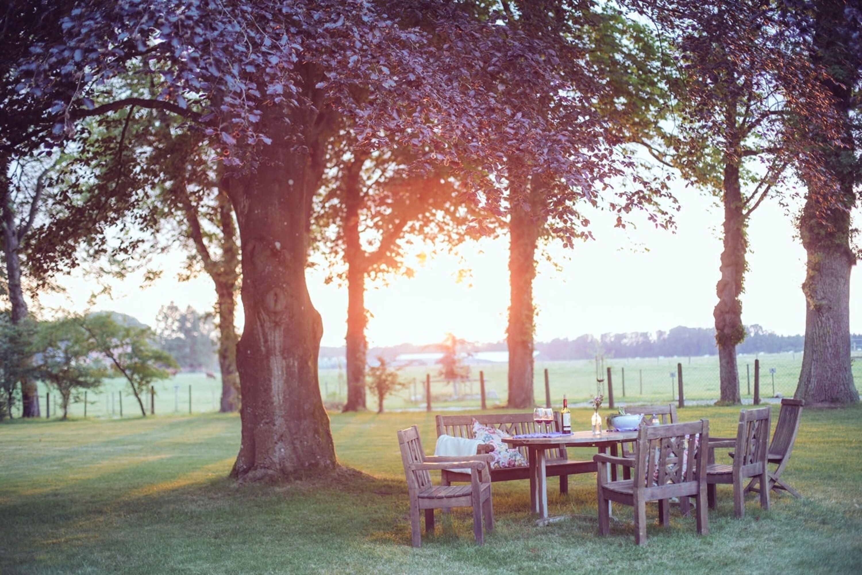Rittergut Valenbrook Sonnenuntergang auf Wiese